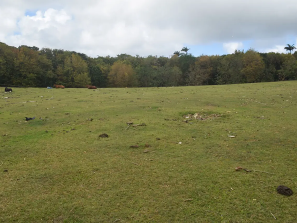 INDIAN POND – LOT B3