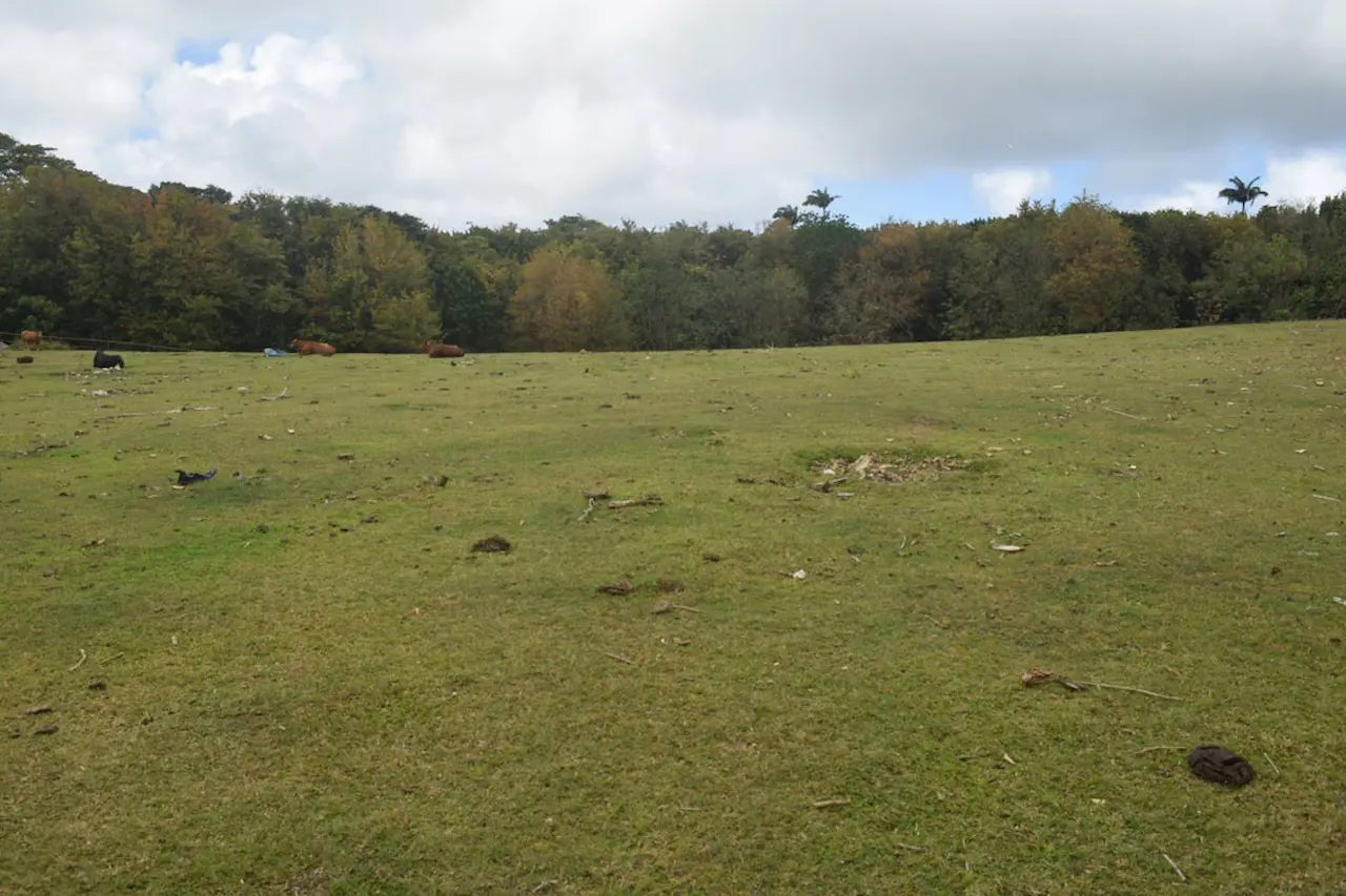 INDIAN POND – LOT B3